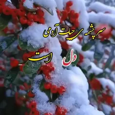 سلام صبح جمعه قشنگتون بخیر🕊❄️ 