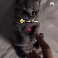 خدا دوسش دارم 😍