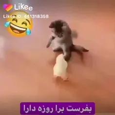 #ماه_رمضان 