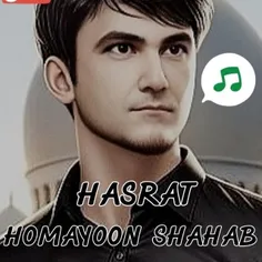 homayoonshahab1986 69712058