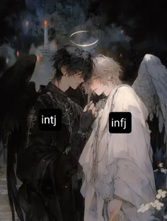 INFJ X INTJ 