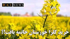 جهان نژادیان: خرید تضمینی کلزا در خوزستان به پایان رسید