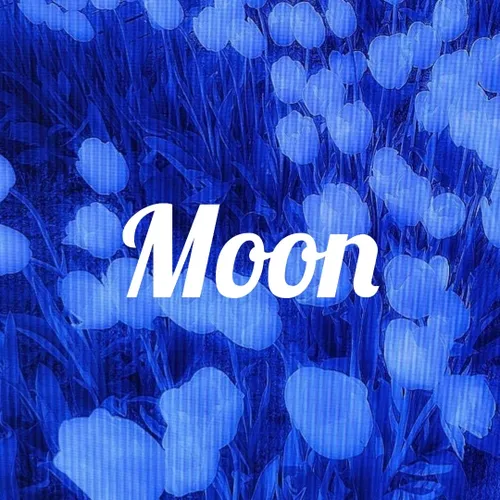  company.blue.moon 63872021 - عکس ویسگون