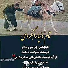 قدر پدر و مادر خود را بدانید