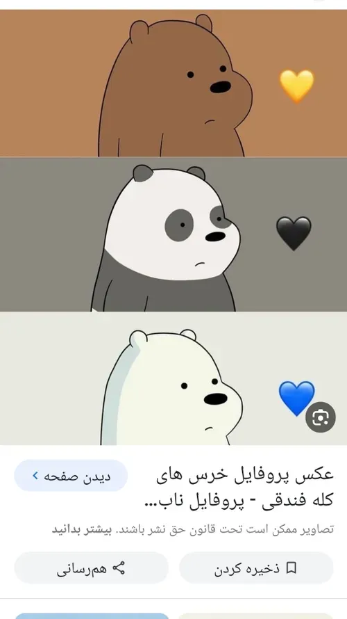 خرس ها