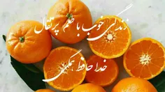زندگی پرتقالی