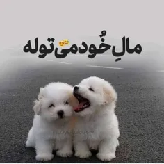 والاا بوخوداااا