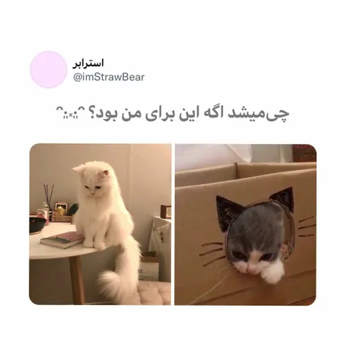 نه اخه چی میشد خدا:`)