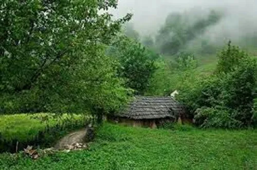 طبیعت shahide25 29835607 - عکس ویسگون