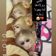 اجی تو بچه هات 🤣🤣🤣🤣🤣