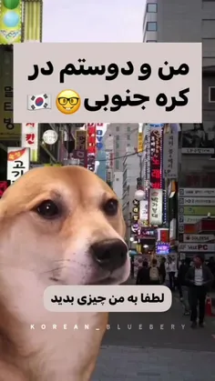 من و دوست در کره جنوبی🤓🇰🇷