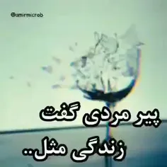 از زندگیت لذت ببر...