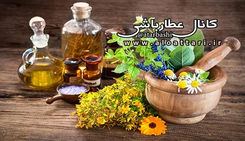 نفخ طب سنتی عطارباشی روغن های گیاهی برای درمان نفخ شکم