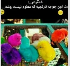 نمیدونم واقعا چرااااااا