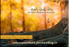 خدایا برای دوست داشتن تو تمامی قلب من کافی نیست