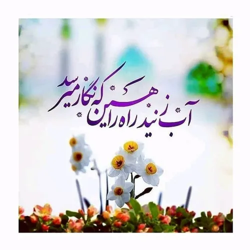 ولادت امام زمان(عج