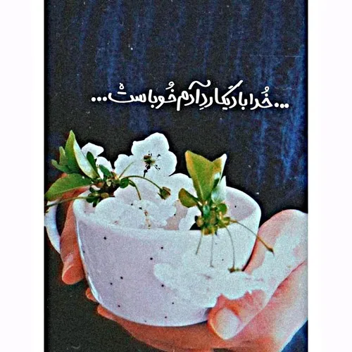 خیلی وقته سکوت کردم ک به کسی برنخوره!