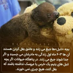 #دانستنیها #عکس_نوشته