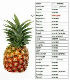 آیا میدانید آناناس تو اغلب زبان‌های دنیا اسمش آناناسه بجز