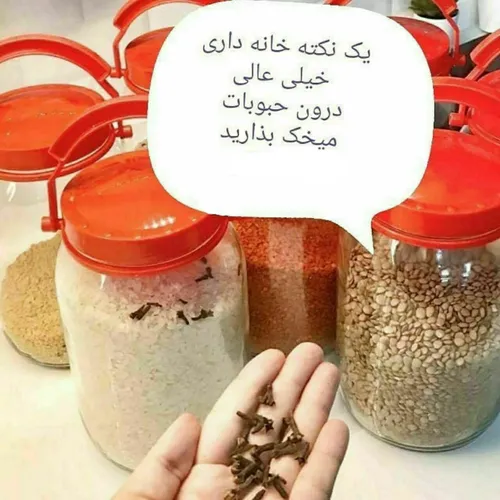 برای نگهداری حبوبات از شر آفات و حشرات و کرم در این وضعیت