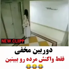 خدایااااااا😂😂😂😂