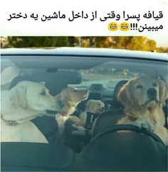 هههههه