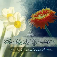 سلام امام زمانم 
