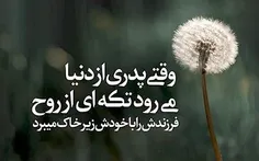 شخصی hosseinabbasi1 29918116