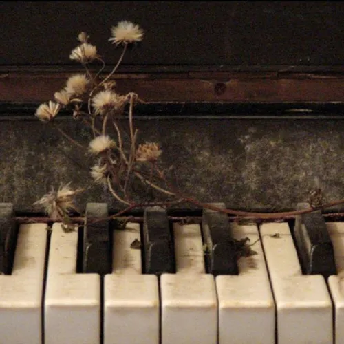 دلم یه پیانو تو یه جنگل دور افتاده از کل زمین و زمان میخو