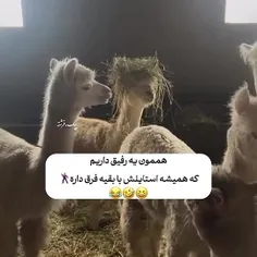 حکایت رفیق منع😂😂