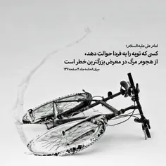 #حکمت_های_علوی