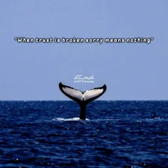 «وقتی #اعتماد از بین می‌رود، #عذرخواهی #بی‌معنی‌ست» 