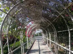 منطقه آزاد چابهار