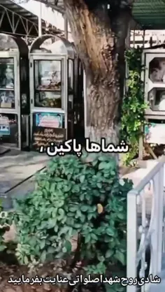 شماها پاکین اما من...