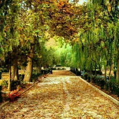 پارک سرچشمه محلات استان مرکزی 