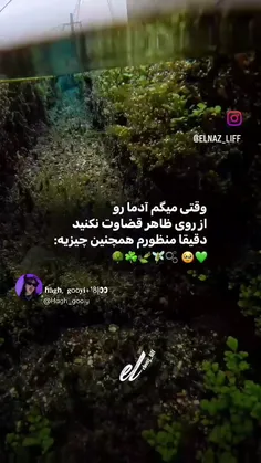 منظورم یه همچین چیزیه... 💖✨