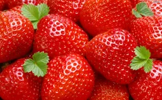 قسمتی از خواص توت فرنگی- مصرف این میوه علاوه بر وجود انوا