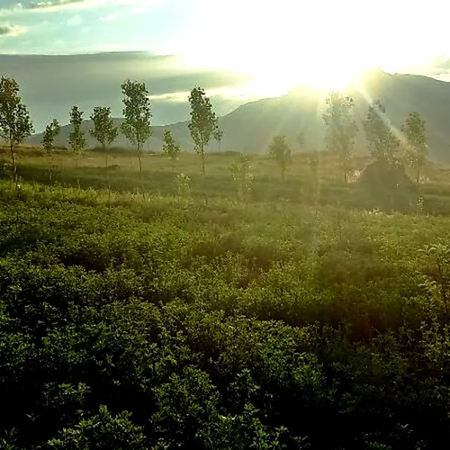 روستای زیبای مرزرود