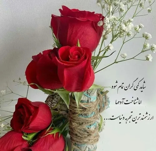  vbghbj 35989164 - عکس ویسگون