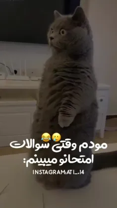 حق 🤌😂