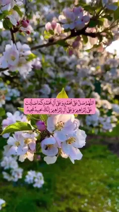 🌸صلوات موجب كمال نماز مي‌شود.