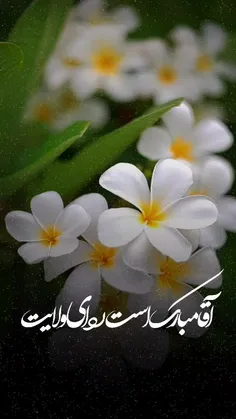 #اللهم‌عجـــل‌لولیـــڪ‌الفرج🌻🌹🍁❤