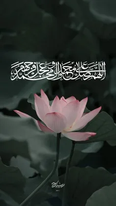 ذکر صلوات امروز🤍🍃