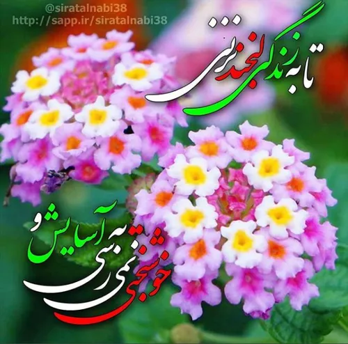 تا به زندگی لبخند نزنی