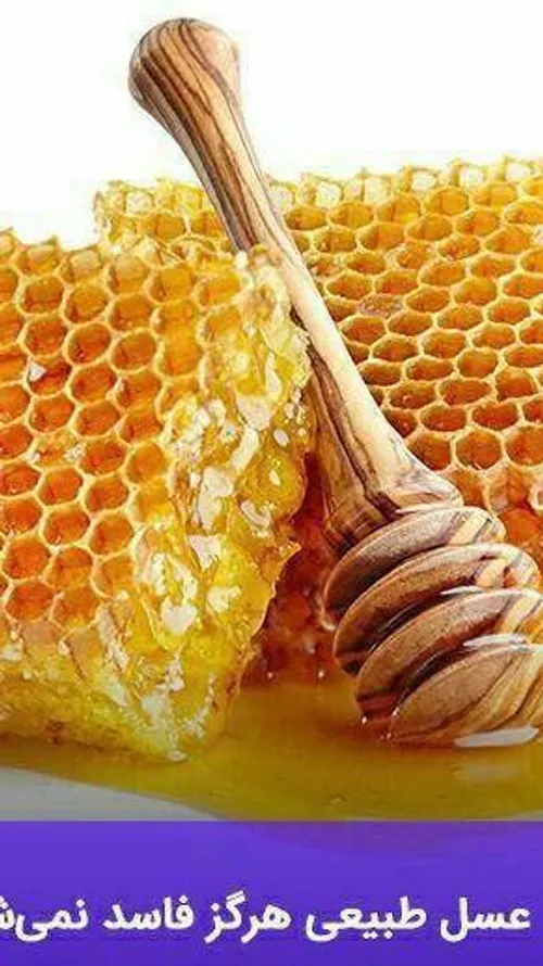 🍯 عسل طبیعی هرگز فاسد نمی شود