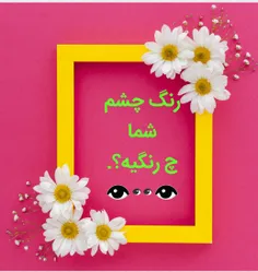 🌀 رنگ چشم سبز