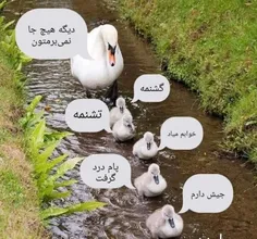 *وقتی بچه هاتو میبری پارک😂