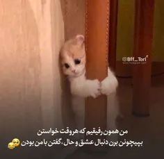 بدبختی من از اونا بودم 🤕😂