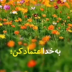 💥امروزم را با اندیشه های 