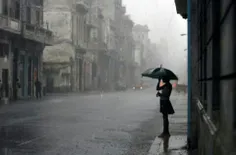 تمام شهر می دانند که باید شعر باران را زبر باشند
